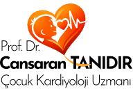 Prof. Dr. İbrahim Cansaran Tanıdır